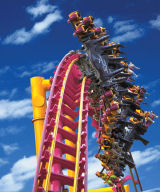 View Restaurants near Theme Parks