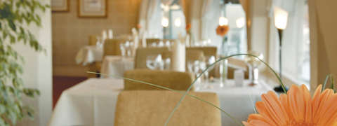 The Orchid Restaurant in Devon